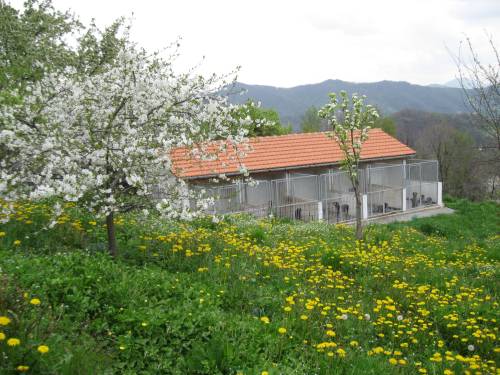 Il Canile dell'Allevamento